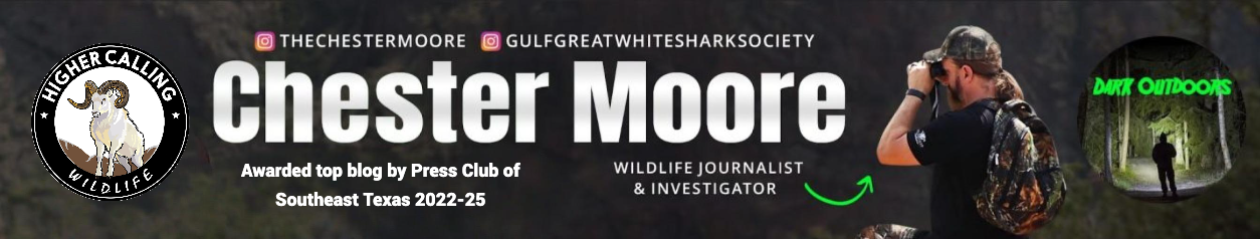 Higher Calling Wildlife